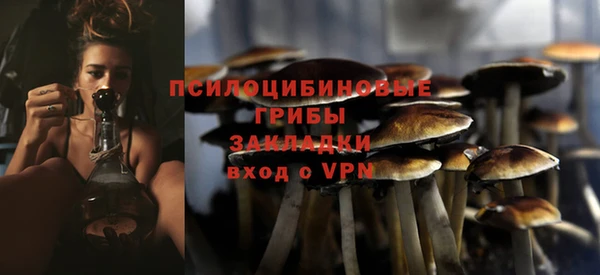 мескалин Каменка