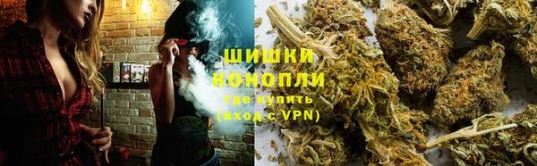 крисы Касимов