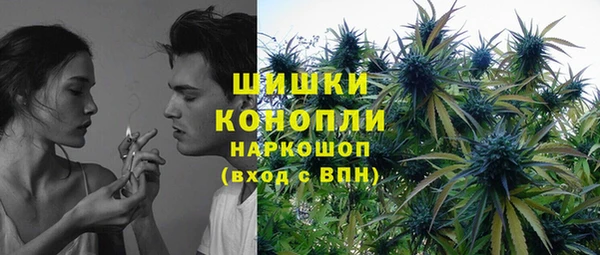 крисы Касимов