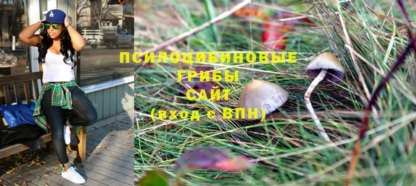 не бодяженный Каменногорск