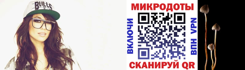 как найти закладки Набережные Челны Псилоцибиновые грибы Psilocybine cubensis